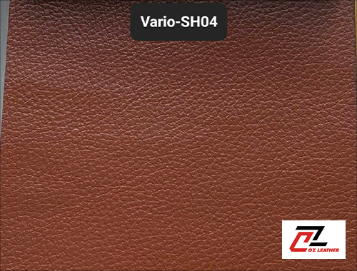 Da Vario